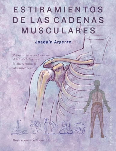 Estiramientos De Las Cadenas Musculares