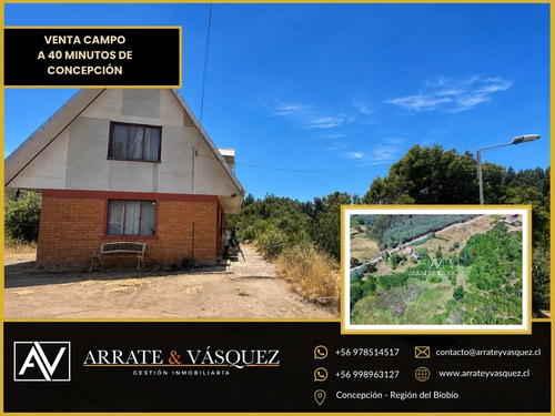 Parcela De 7,4 Hectáreas Con Casa | Florida, Biobío |