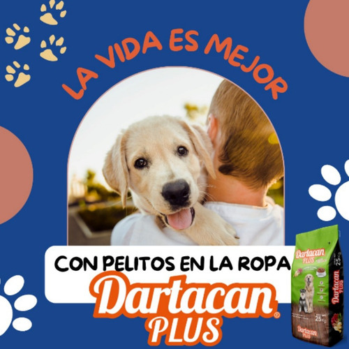 Dartacan Plus Adulto Croqueta Todas Las Razas 20k