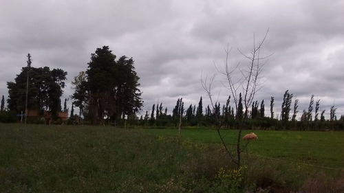 Venta Lote Campo Casa Mendoza General Alvear Bowe