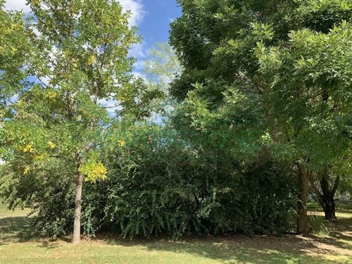 Imagen 5 de 10 de Terreno Venta Club De Campo San Francisco Manzanares Pilar