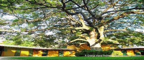 Imagem 20 de 23 de Granja Viana - Haras Guancan, Condomínio Com Heliporto Te0099-agv - Te0099