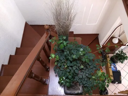 Casa En Condominio A Unos Pasos Del Tec De Monterrey Arboledas Sur
