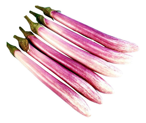 Semillas De Berenjena Rosa Blanca