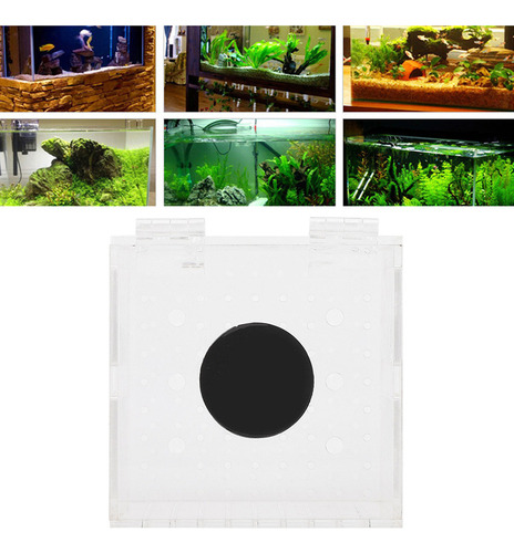 Acuario Acrílico Con Aislamiento De Peces Para Criadero De B