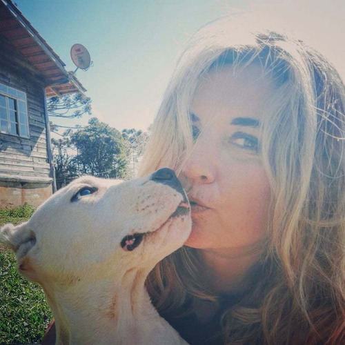 Dogo Argentino