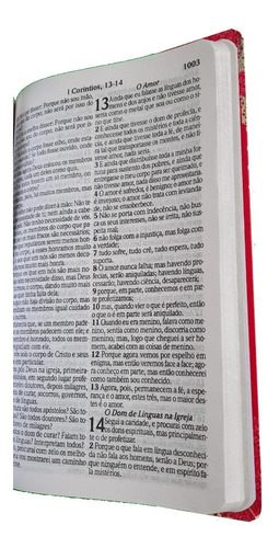 Bíblia Sagrada Letra Gigante Com Harpa Masculina / Feminina