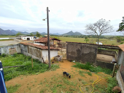 Imagem 8 de 14 de Chácara À Venda, Comunidade Urbana De Andana, Guarapari, Es - Es - Ch0004_supp