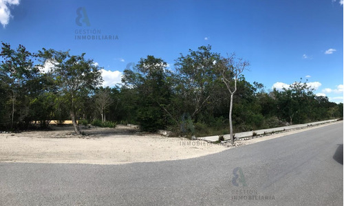 Imagen 2 de 9 de En Venta Terreno En Privada Dzidzil-ha. Ctv83.
