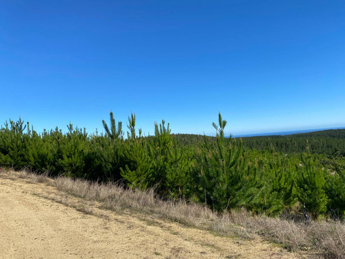 Oportunidad Venta De Parcela Pichilemu Playa Monaco