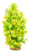 Comprar Tesoros Submarinos Ludwigia Alto