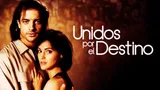 Unidos por el destino