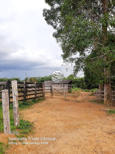 Imagem 11 de 11 de Venda Sítio Vale Do Anari Em Rondônia - Sig309
