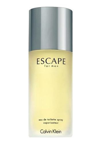 Perfume Masculino Calvin Klein Escape Eau De Toilette