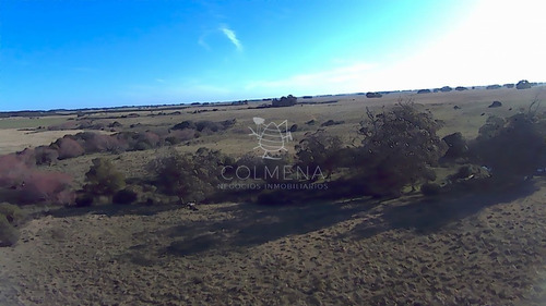 Imagen 17 de 28 de Venta Campo Ideal Para Fraccionar En Chacras Codigo 6003 - Las Garzas