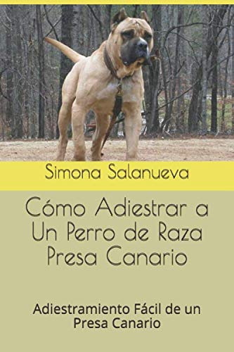 Como Adiestrar A Un Perro De Raza Presa Canario: Adiestramie