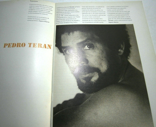 Imagen 2 de 6 de Pedro Terán. Dorado. Catálogo.