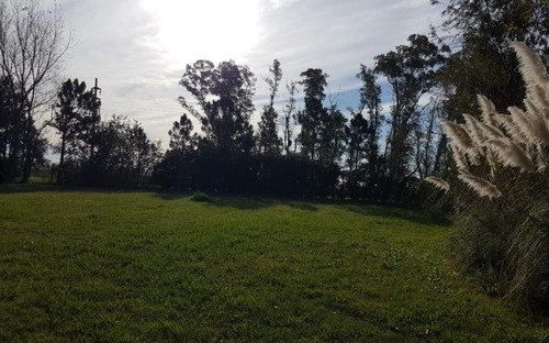 Imagen 2 de 5 de Terreno Scuba Fields - Ibarlucea - 2250m2