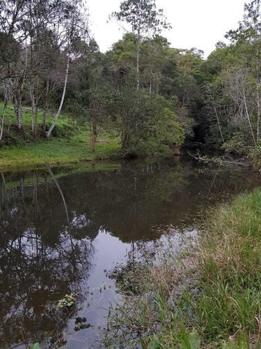 Imagem 11 de 14 de Sitio Próximo A Represa Ref 1291