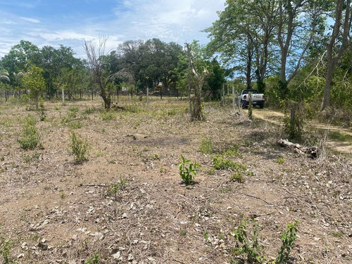 Venta Terreno 818.37 M² Col. Juana Moza Tuxpan Veracruz