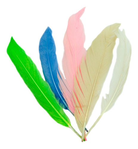 Pluma Premium Multicolor 50 Pcs Atrapasueño Souvenir Vinchas