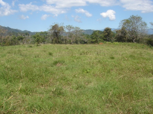 Imagen 2 de 5 de 3 Ha Atenas - Sabana Larga