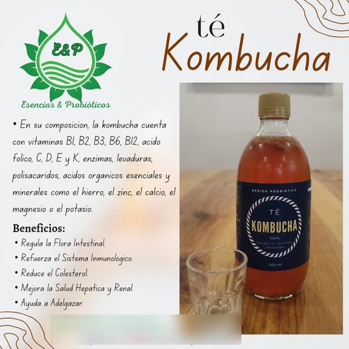  Lapiz Kombucha Refresco Probiótico 