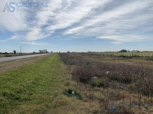 Imagen 8 de 25 de Excelente Campo Agricola De 62,73 Has.
