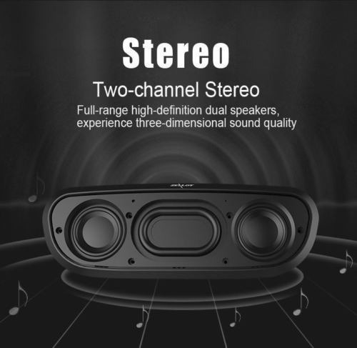 Altavoz Zealot S9 Portátil Bluetooth Con Radio Fm