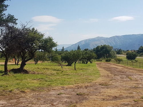 Imagen 2 de 12 de Lote En Ayres De Larca