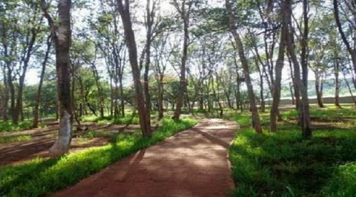 Apartamentos - Ref: V15354