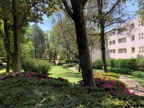 Imagen 1 de 14 de Departamento En Venta Lomas De Vista Hermosa
