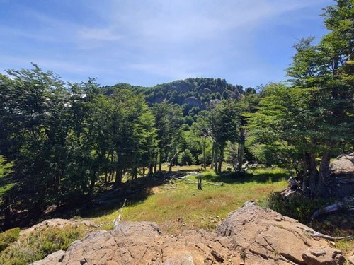 Imagen 4 de 14 de Macro Lote En Venta Coyhaique