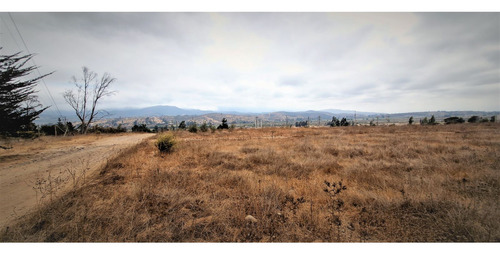 Sitio Plano, Agrícola, De 5.000 M2., En Tabolango, Limache.