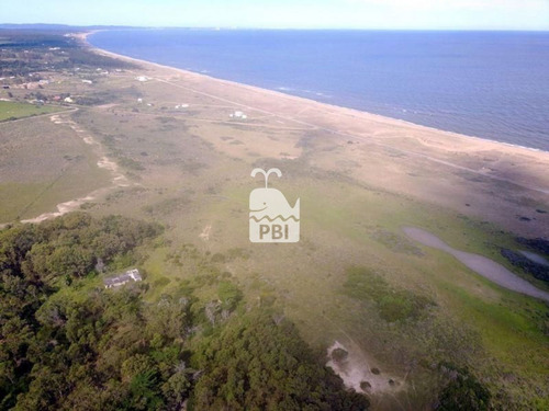 Imagen 9 de 9 de Chacra En Venta Punta Negra - Ref : Pbi589