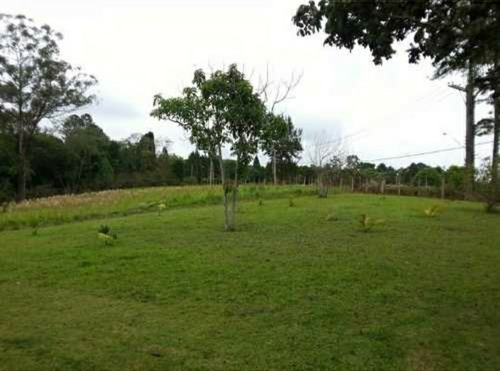 Vendo Chácara Terreno Limpo P/ Plantio Construção De Chalés Ou Centro De Distribuição Com 2 Casas Simples Em São Roque A 3km Estrada Do Vinho E Vinícola Góes Excelente Localização Acesso Fácil Estrada