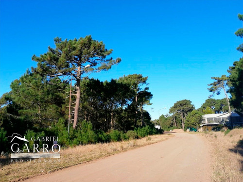 Imagen 4 de 5 de Lote En Venta, Pinamar, Alamos Ii