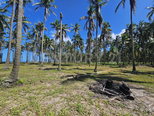 Terreno En Golfo De México, Playa Sol R/a Las Flores, Paraíso Tabasco