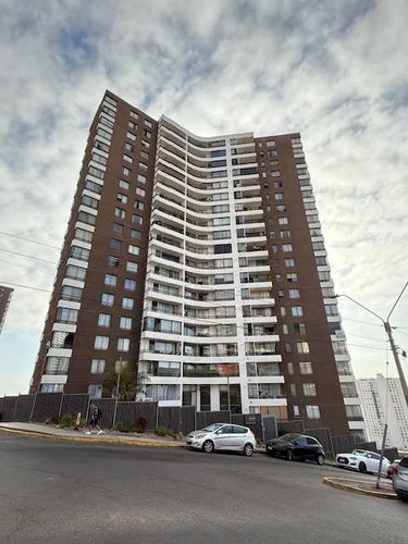 Costado Inacap, Sector Sur (81844)