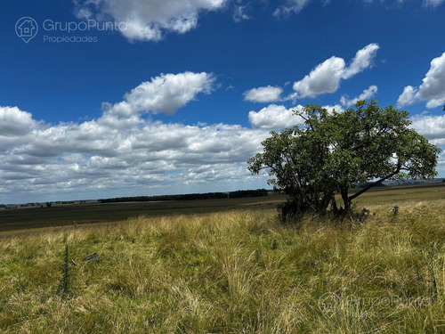 Campo En Venta - Rocha