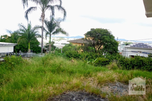 Imagem 6 de 9 de Casa À Venda No São Luíz - Código 242776 - 242776