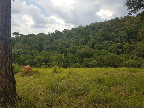 Imagem 11 de 14 de Terreno, Centro, Pirapora Do Bom Jesus - R$ 1.200.000,00, 430m² - Codigo: 234967 - V234967