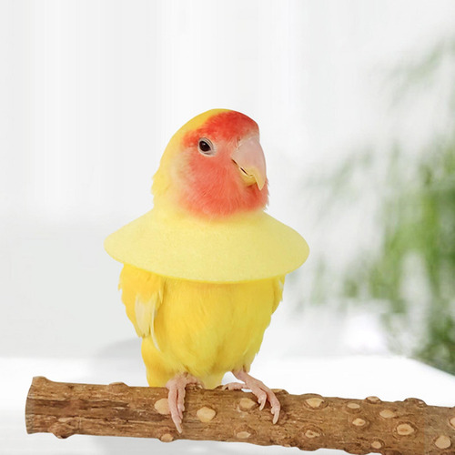 5 Collar Antimordeduras Para Loros Y Pájaros, Fácil De Sg