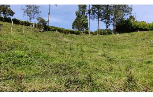 Lote En Venta En El Retiro Vía La Fe. Cod V50891
