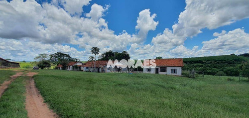 Imagem 12 de 18 de Fazenda Na Região De Bauru À Venda, 118 Alq Por R$ 15.000.000 - Bauru - Bauru/sp - Fa0016