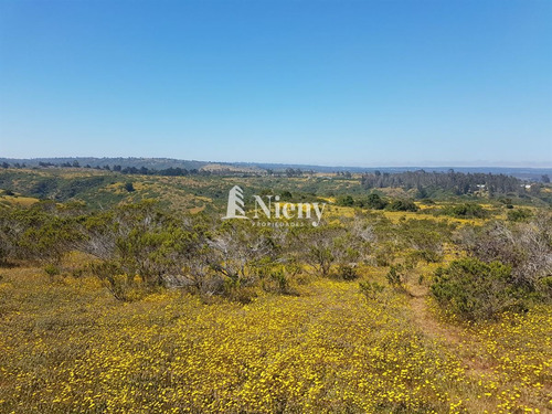 Sitio De 8,16 Ha En Venta En Algarrobo, V Region