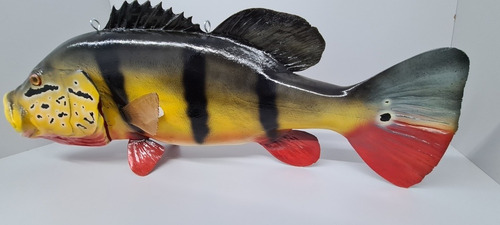 Peixe Tucunaré Açu Amazônico Em Resina