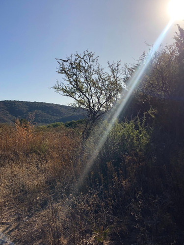 Imagen 5 de 15 de Lote De 1250 M2 En Barrio Los Olivares De Los Hornillos / Traslasierra Con Escritura