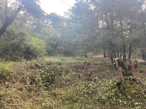 Imagen 4 de 10 de Terreno En Paraje Cuacuametla, Fracc. Real Montecasino, En H