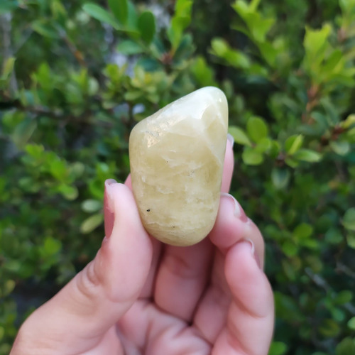 Pedra Rolada Heliodoro / Berilo - Cristal Da Sabedoria